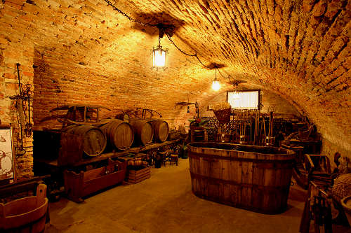 Castello di Bevilacqua, cantina