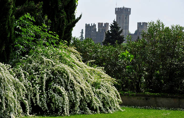 Valeggio sul Mincio, parco Sigurtà