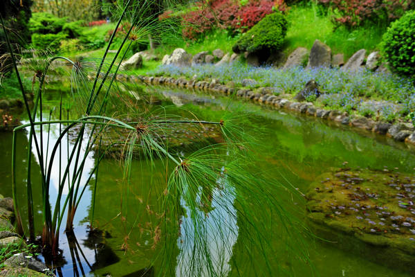 Parco Giardino Sigurtà a Valeggio sul Mincio