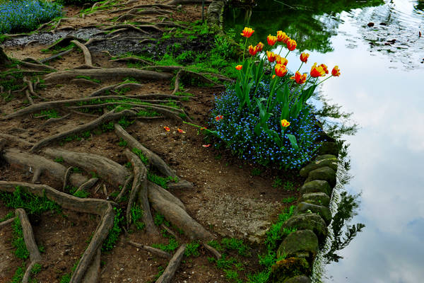 Parco Giardino Sigurtà a Valeggio sul Mincio