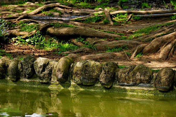 Parco Giardino Sigurtà a Valeggio sul Mincio