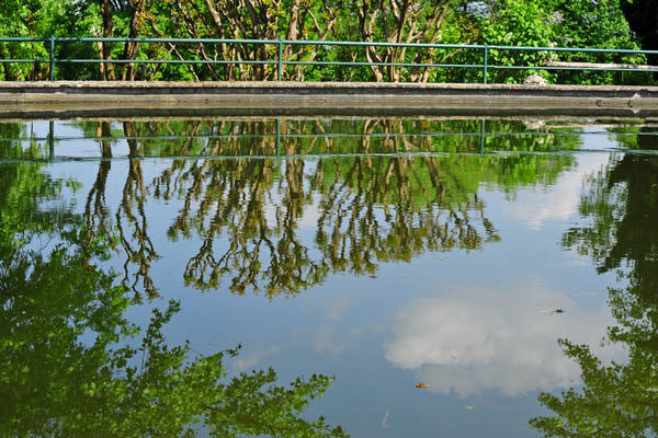 Parco Giardino Sigurtà a Valeggio sul Mincio
