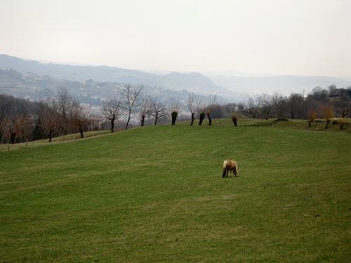sentiero delle Marogne, Chiampo