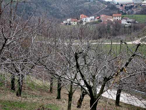 sentiero delle Marogne, Chiampo