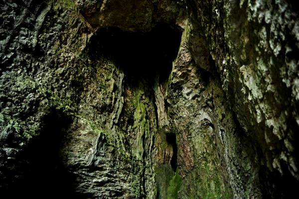 Buso della Rana a Priabona di Monte di Malo