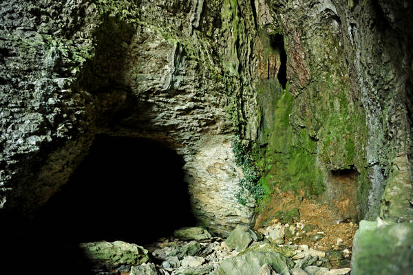 Buso della Rana a Priabona di Monte di Malo