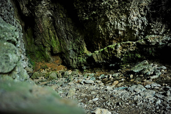 Buso della Rana a Priabona di Monte di Malo