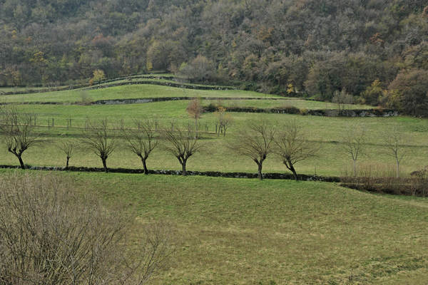 sentiero naturalistico Priabona-Campipiani