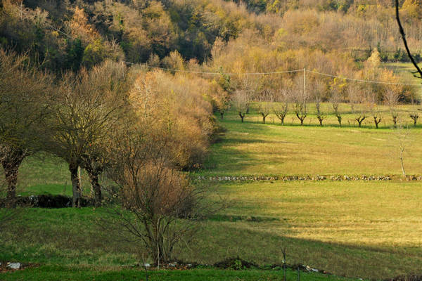 sentiero naturalistico Priabona-Campipiani