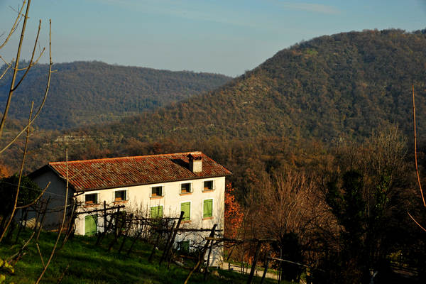 sentiero naturalistico Priabona-Campipiani