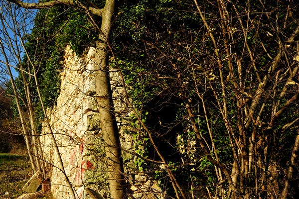 sentiero naturalistico Priabona-Campipiani